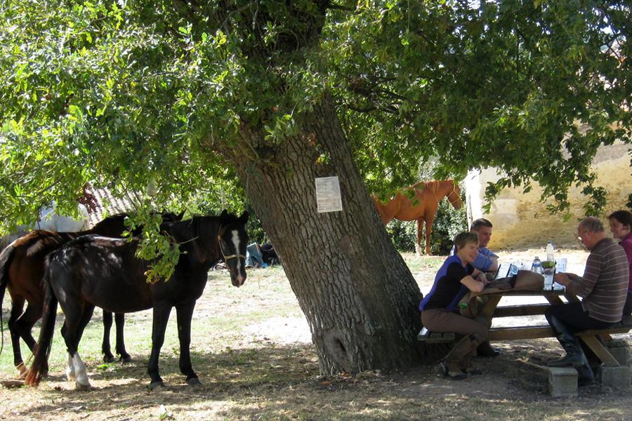 Authentic Armagnac - horseXperiences™ GO EQUESTRIAN