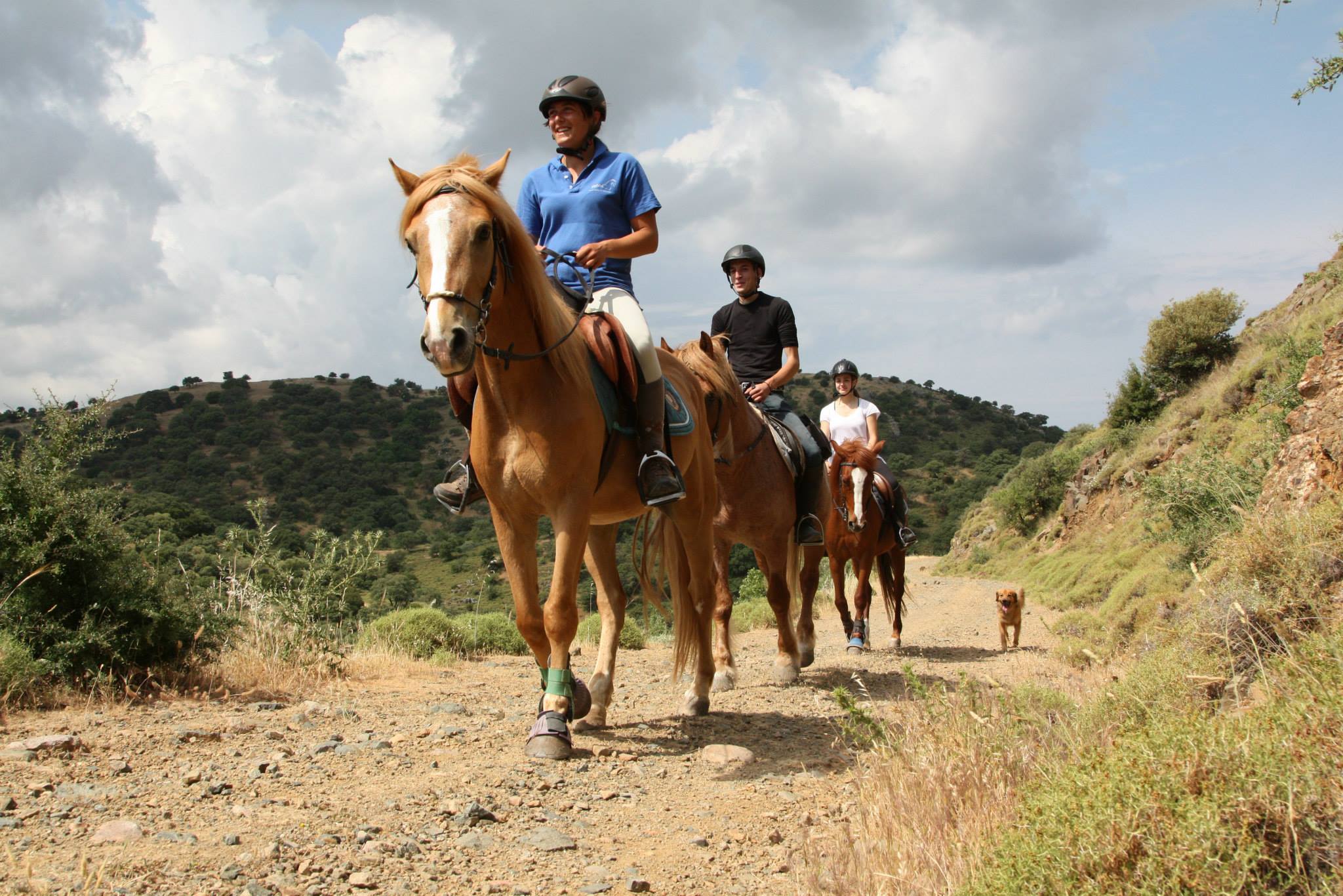 Paradise Island - horseXperiences™ GO EQUESTRIAN