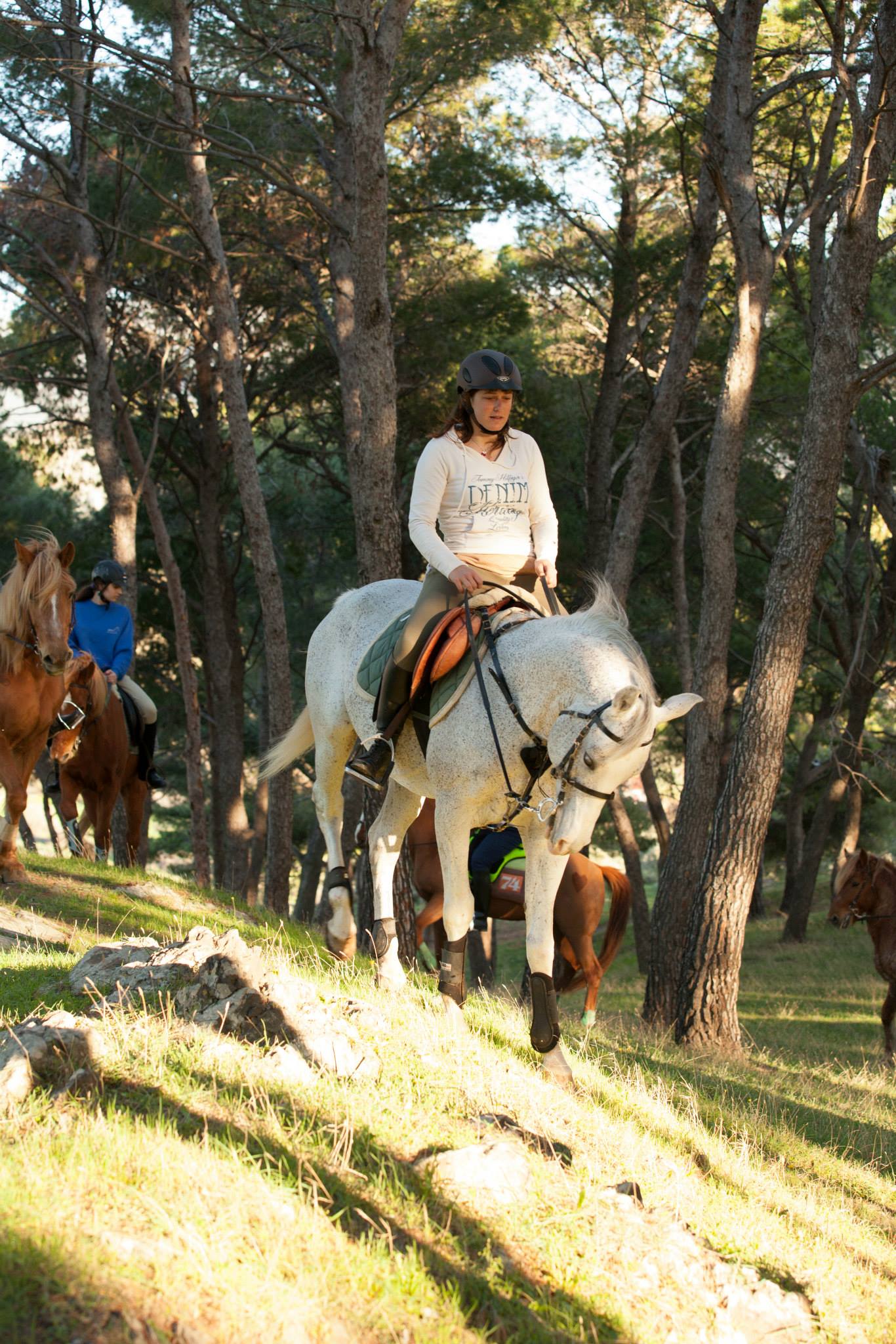 Paradise Island - horseXperiences™ GO EQUESTRIAN