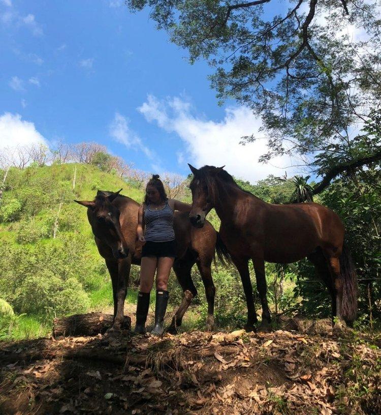Connection With Horses - horseXperiences™ GO EQUESTRIAN