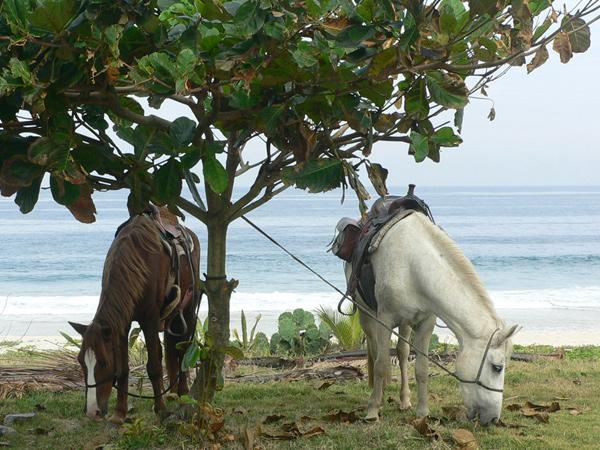 Ride & Relax in Rio - horseXperiences™ GO EQUESTRIAN