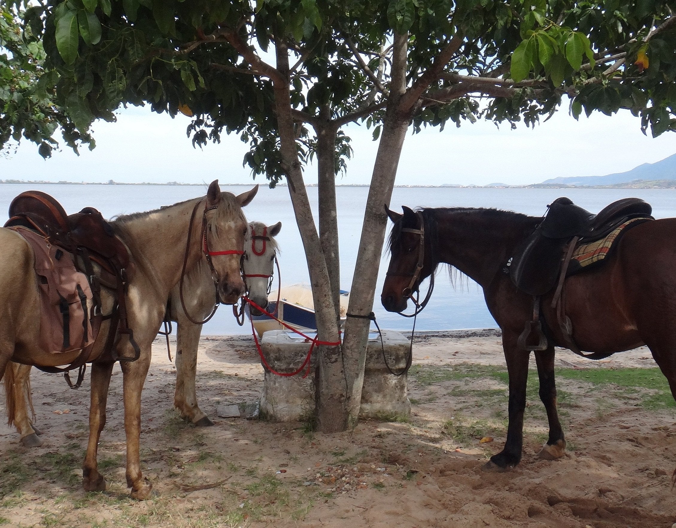 Ride & Relax in Rio - horseXperiences™ GO EQUESTRIAN