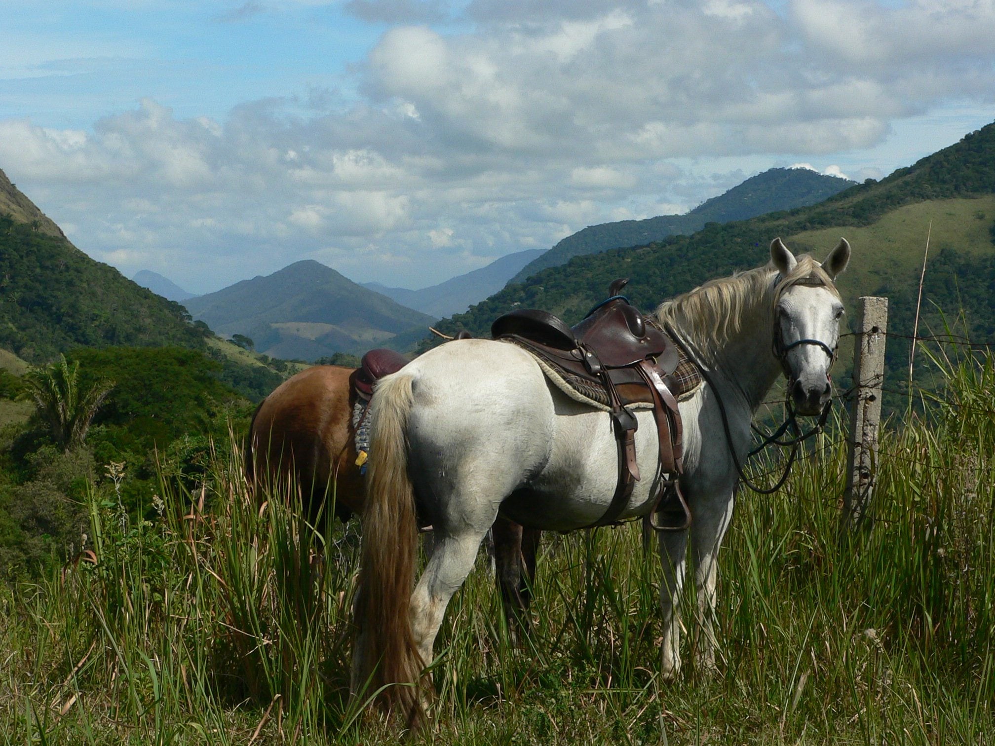 Ride & Relax in Rio - horseXperiences™ GO EQUESTRIAN