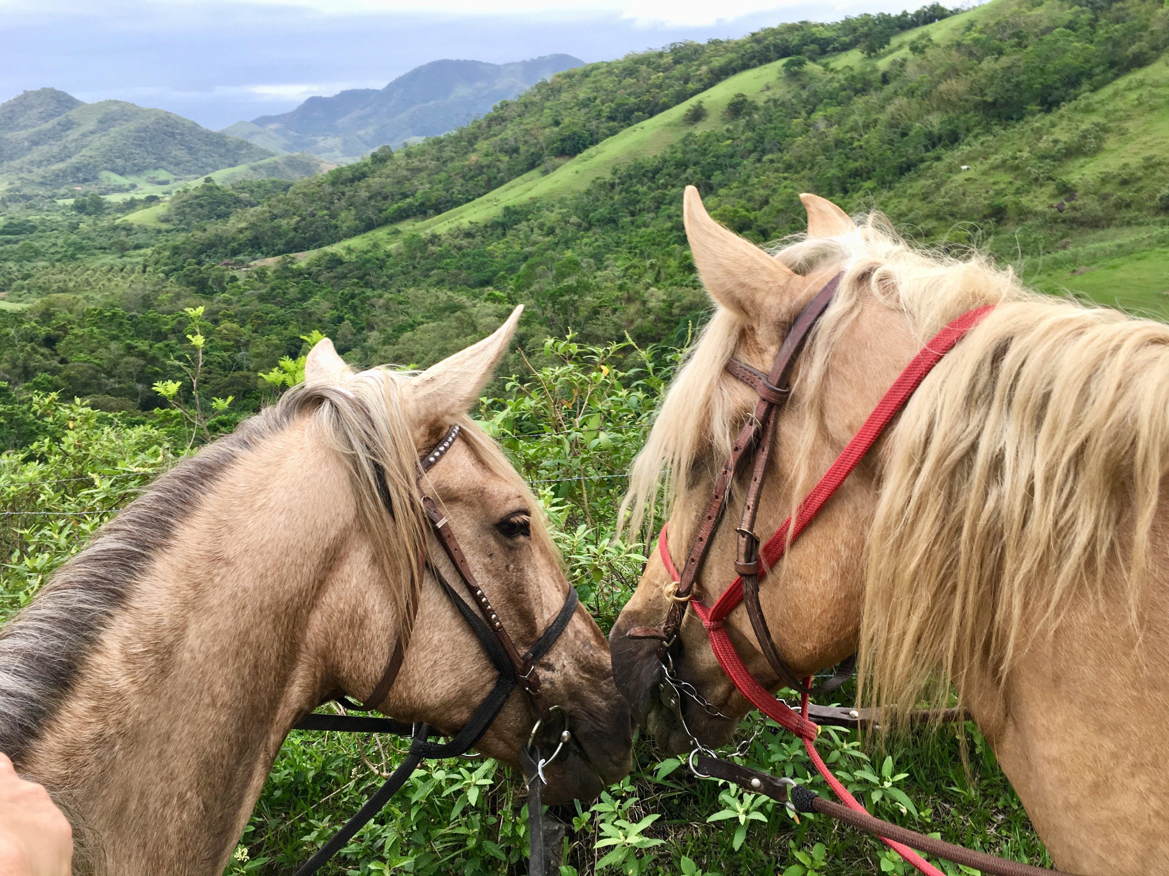 Ride & Relax in Rio - horseXperiences™ GO EQUESTRIAN