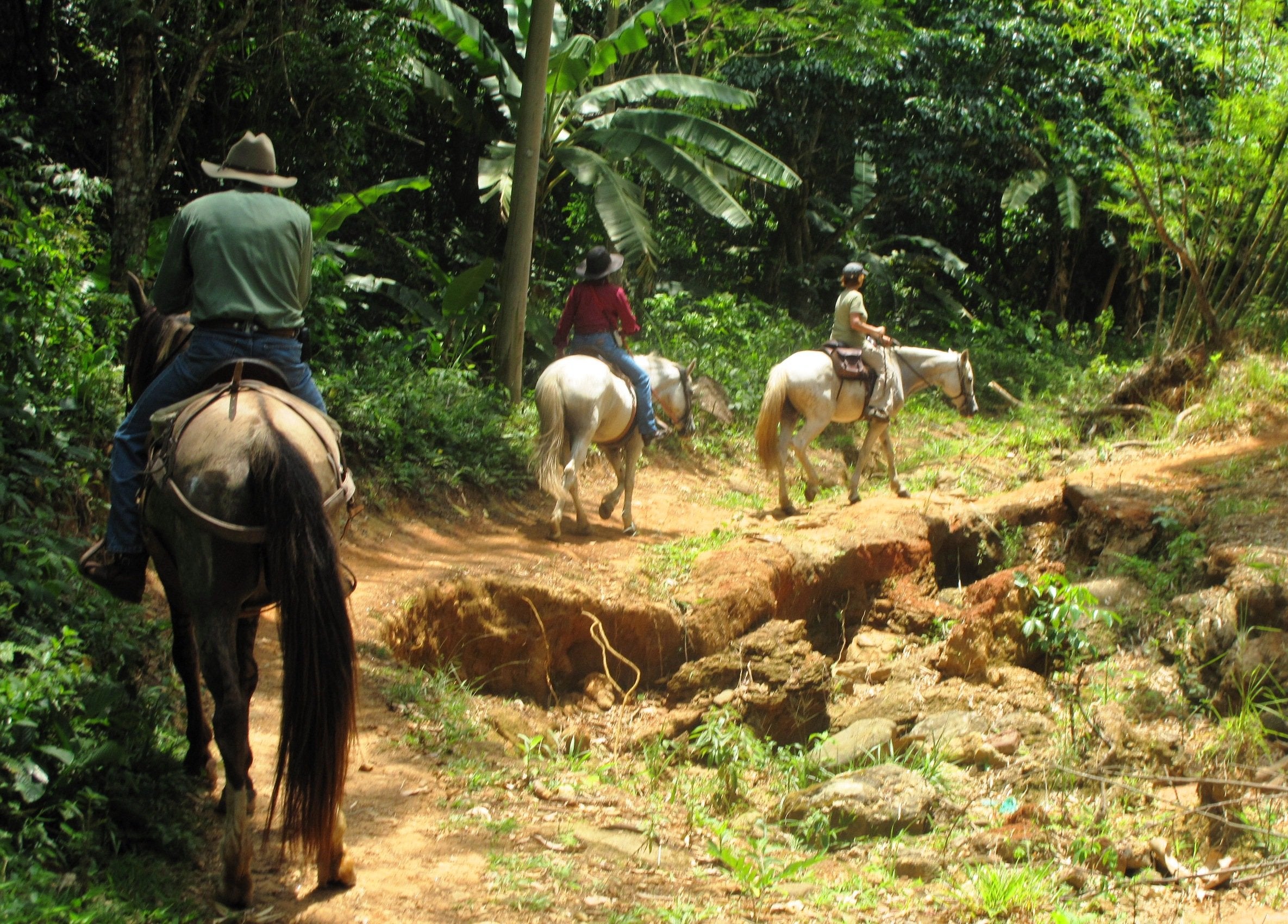 Ride & Relax in Rio - horseXperiences™ GO EQUESTRIAN