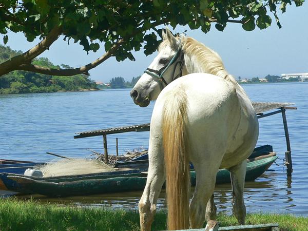 Ride & Relax in Rio - horseXperiences™ GO EQUESTRIAN