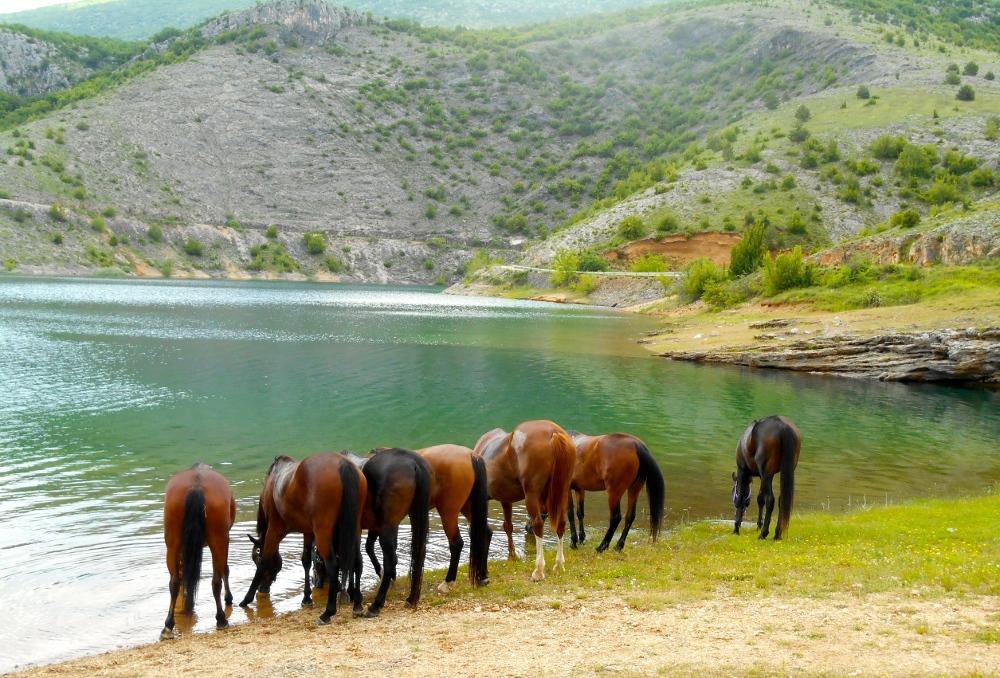 Dalmatia Trail - horseXperiences™ GO EQUESTRIAN