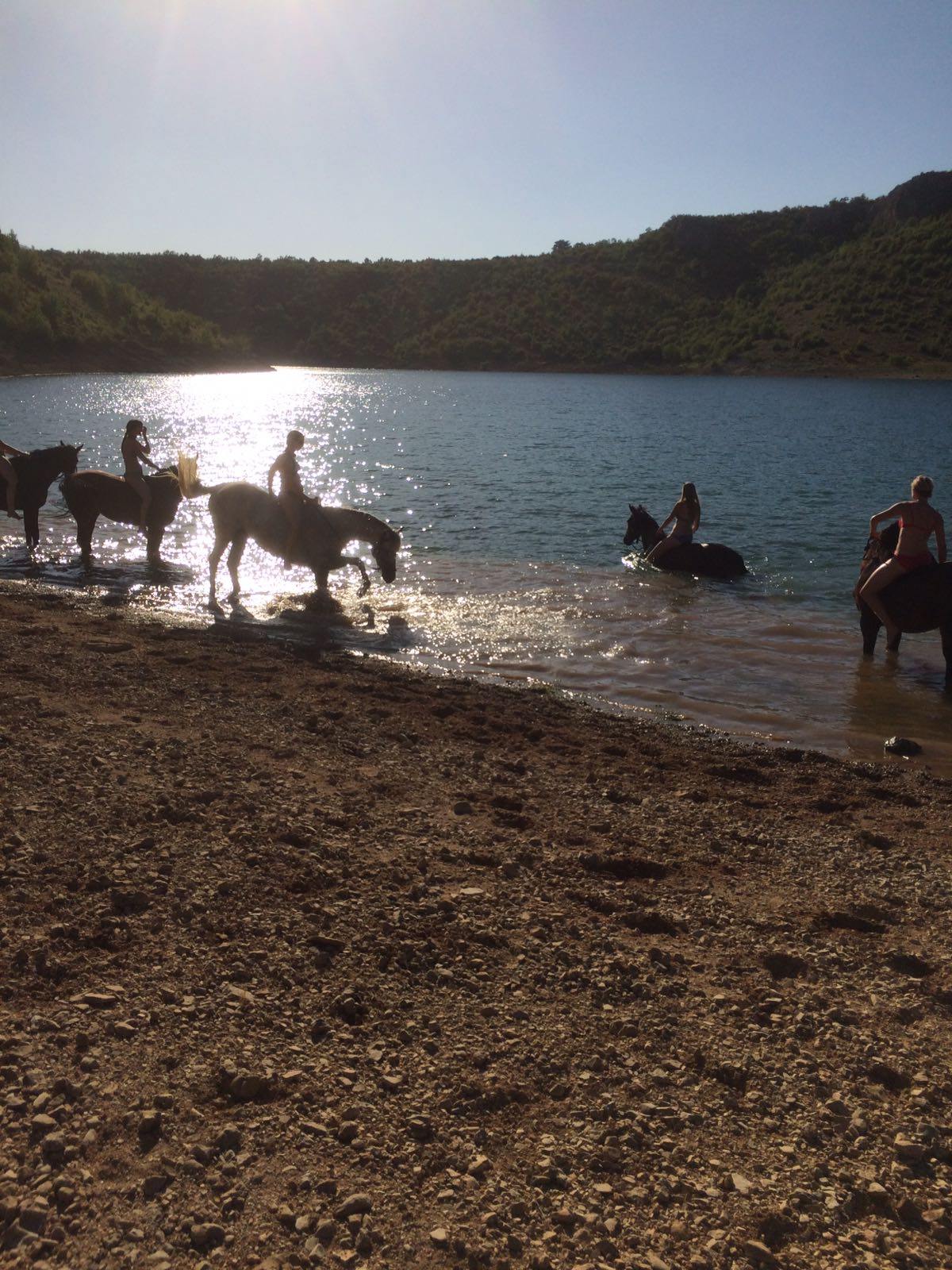 Dalmatia Trail - horseXperiences™ GO EQUESTRIAN