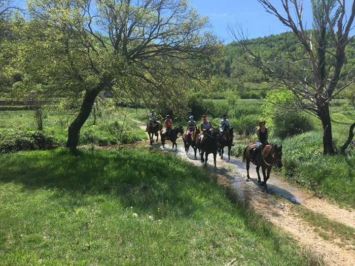 Dalmatia Trail - horseXperiences™ GO EQUESTRIAN