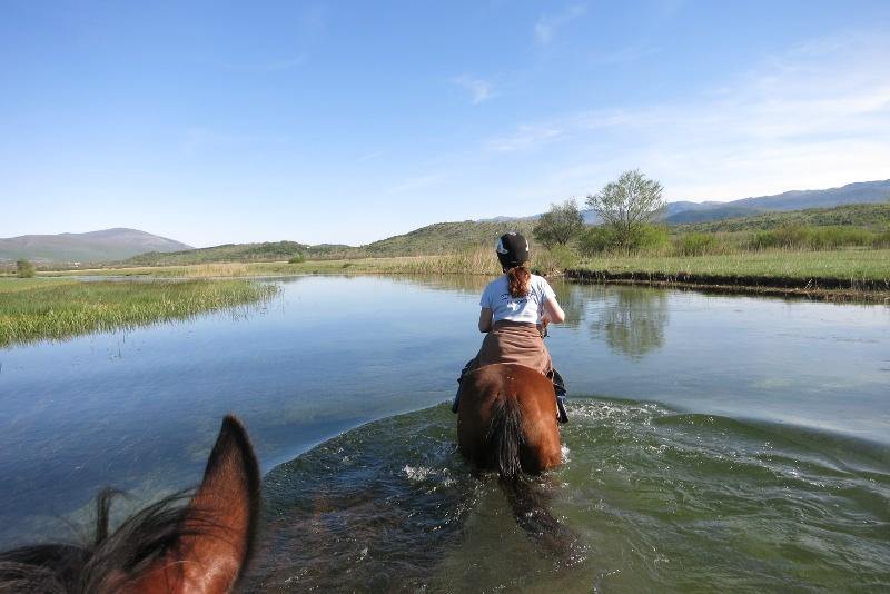 Dalmatia Trail - horseXperiences™ GO EQUESTRIAN