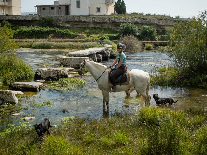 Dalmatia Trail - horseXperiences™ GO EQUESTRIAN