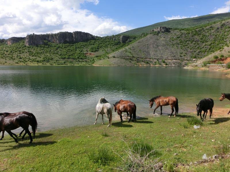 Dalmatia Trail - horseXperiences™ GO EQUESTRIAN