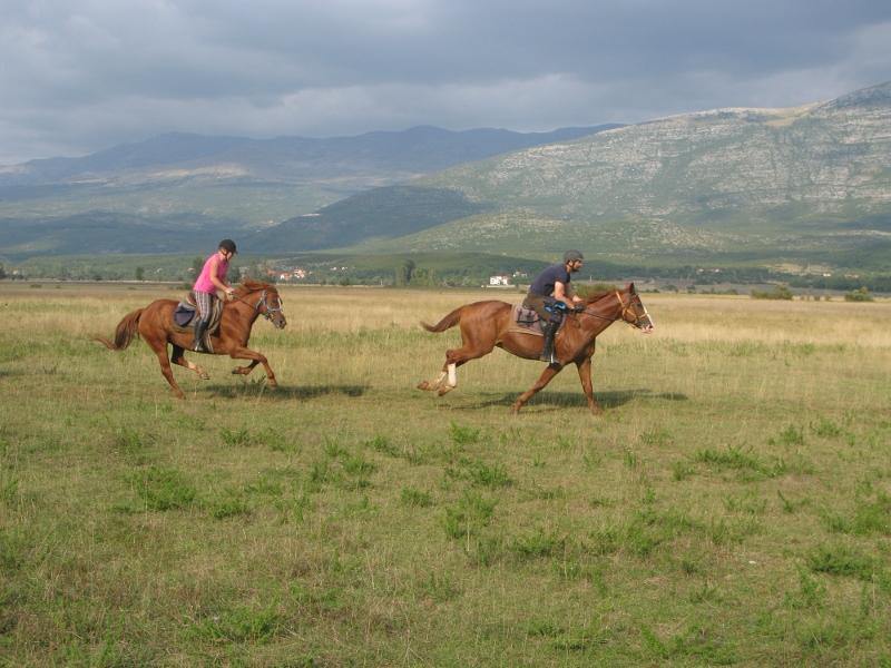 Dalmatia Trail - horseXperiences™ GO EQUESTRIAN