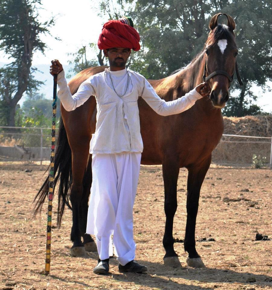 Pushkar Fair Tale - horseXperiences™ GO EQUESTRIAN