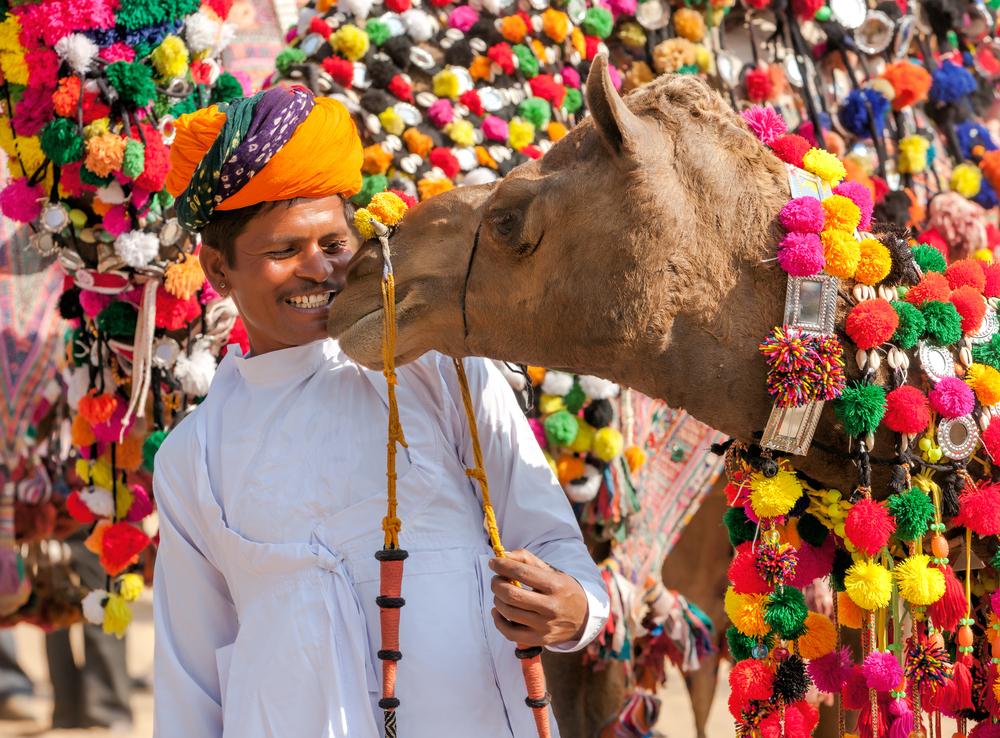 Pushkar Fair Tale - horseXperiences™ GO EQUESTRIAN