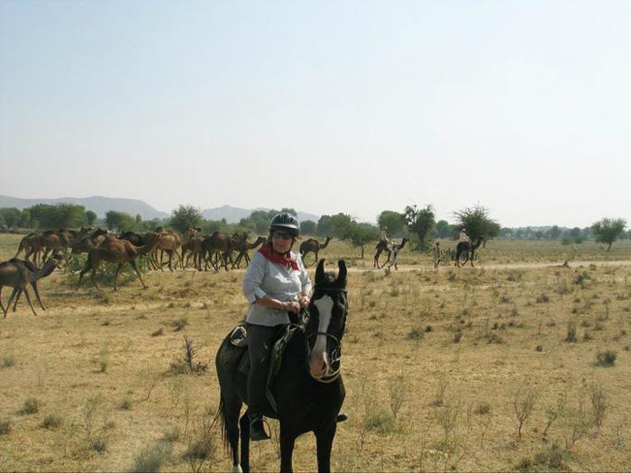 The Great Indian Desert - horseXperiences™ GO EQUESTRIAN