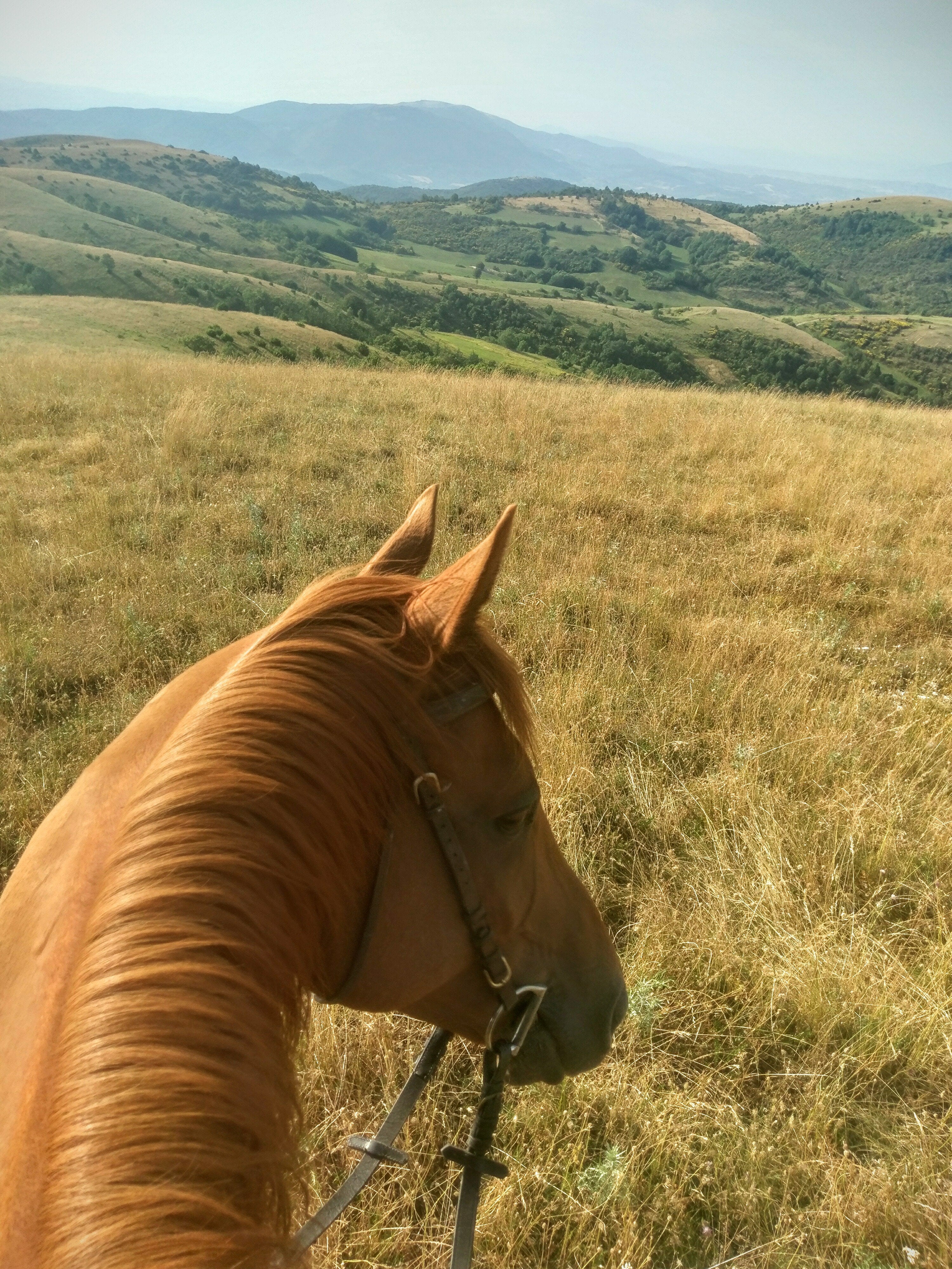 Umbrian Short Break - horseXperiences™ GO EQUESTRIAN