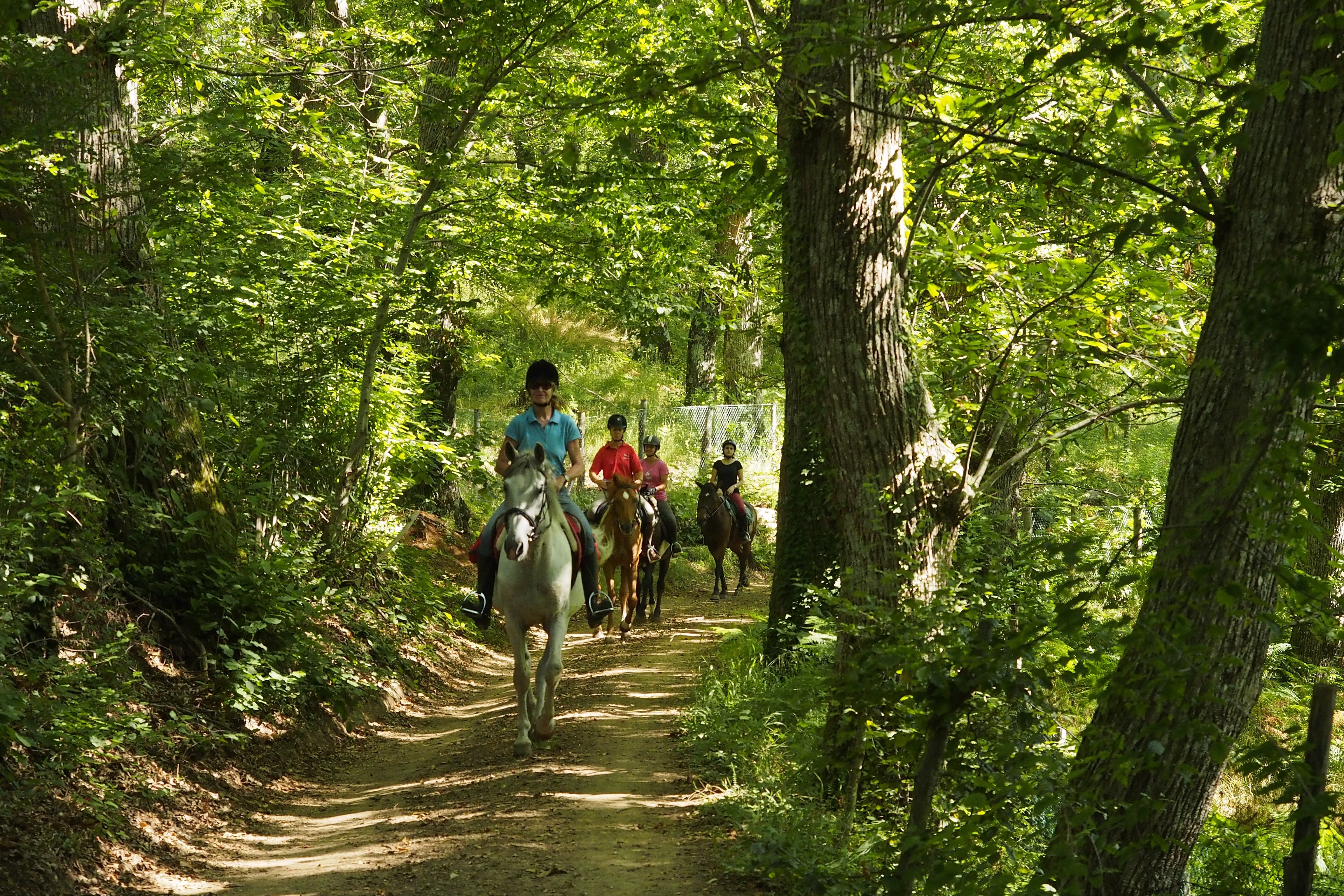 Umbrian Combo Adventure - horseXperiences™ GO EQUESTRIAN