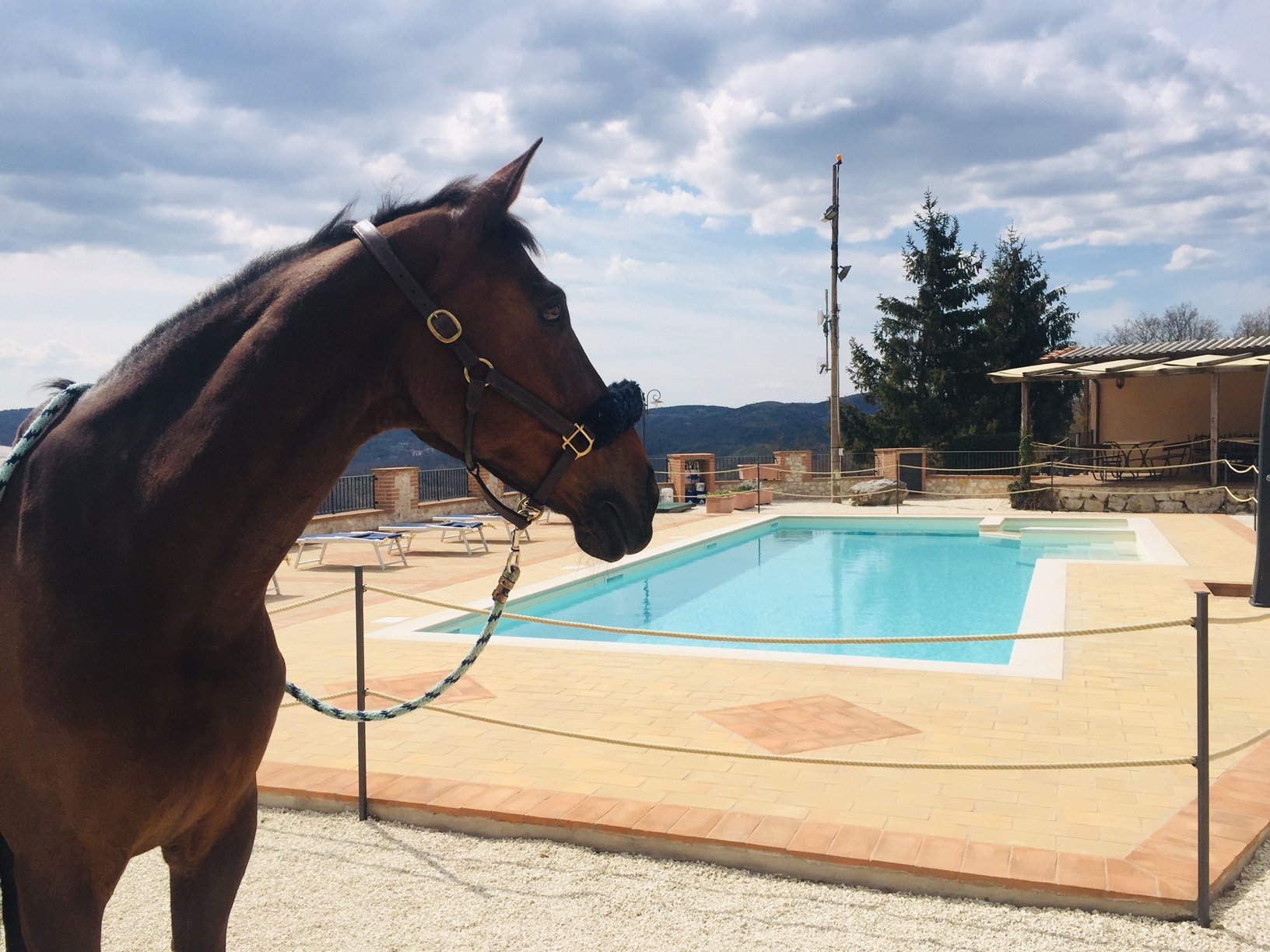 Umbrian Adventure - horseXperiences™ GO EQUESTRIAN