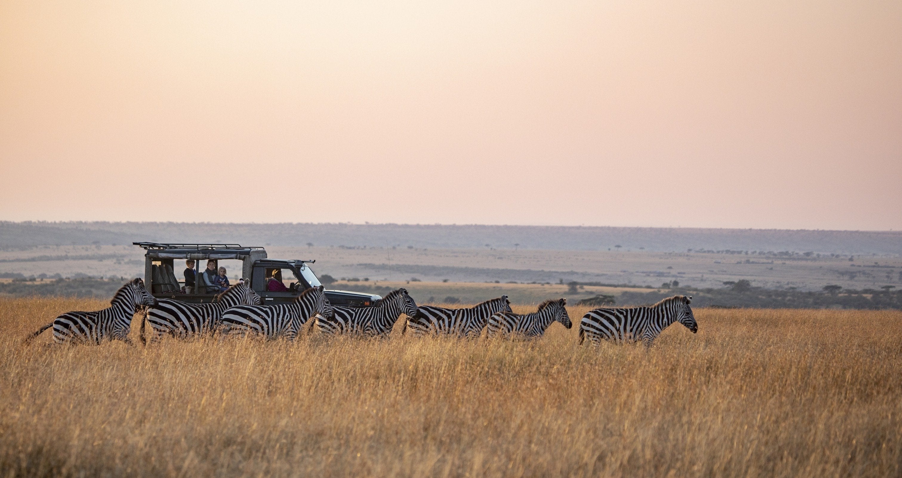 Africa's Big 5 Safari - horseXperiences™ GO EQUESTRIAN