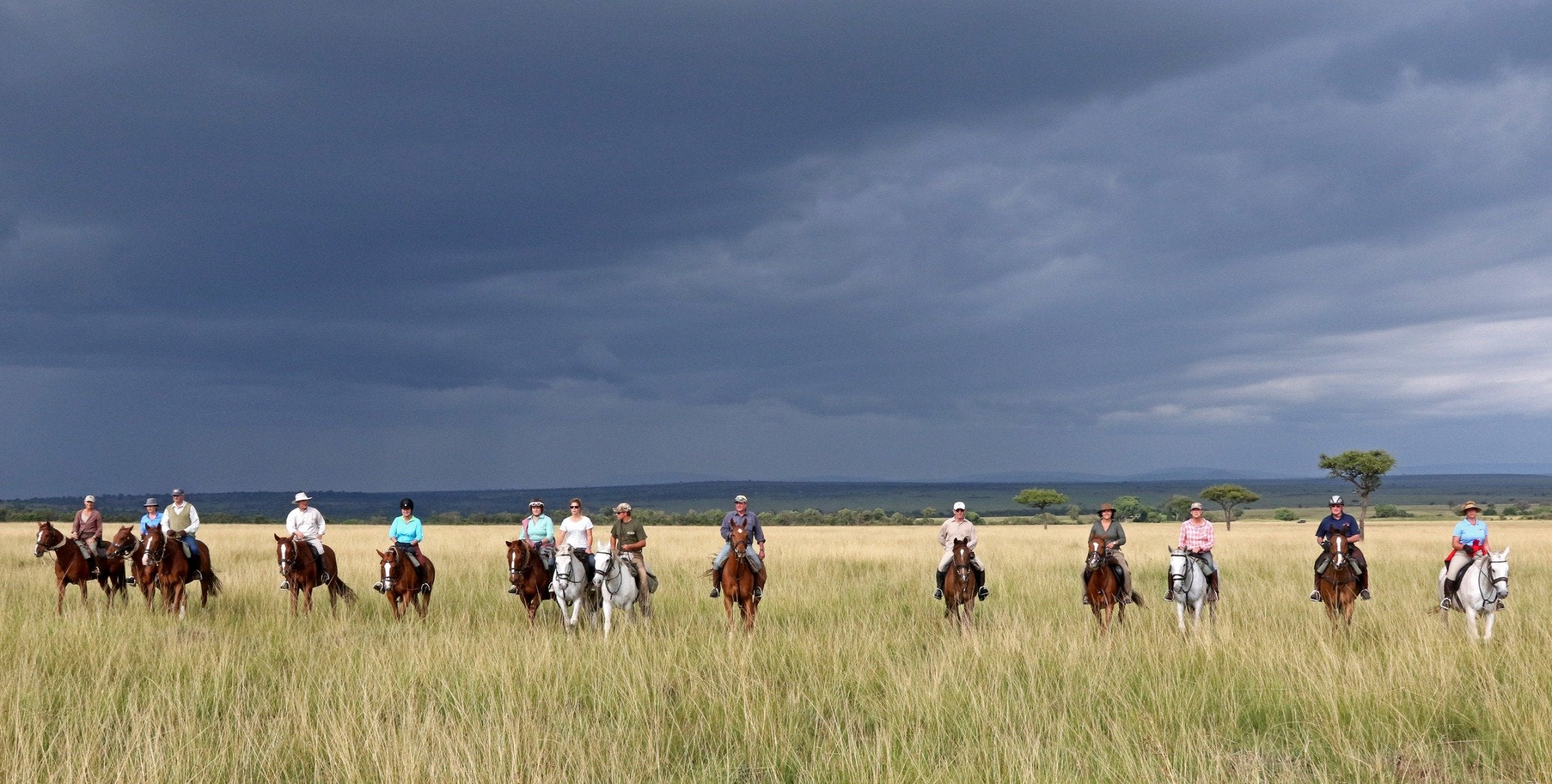 Africa's Big 5 Safari - horseXperiences™ GO EQUESTRIAN