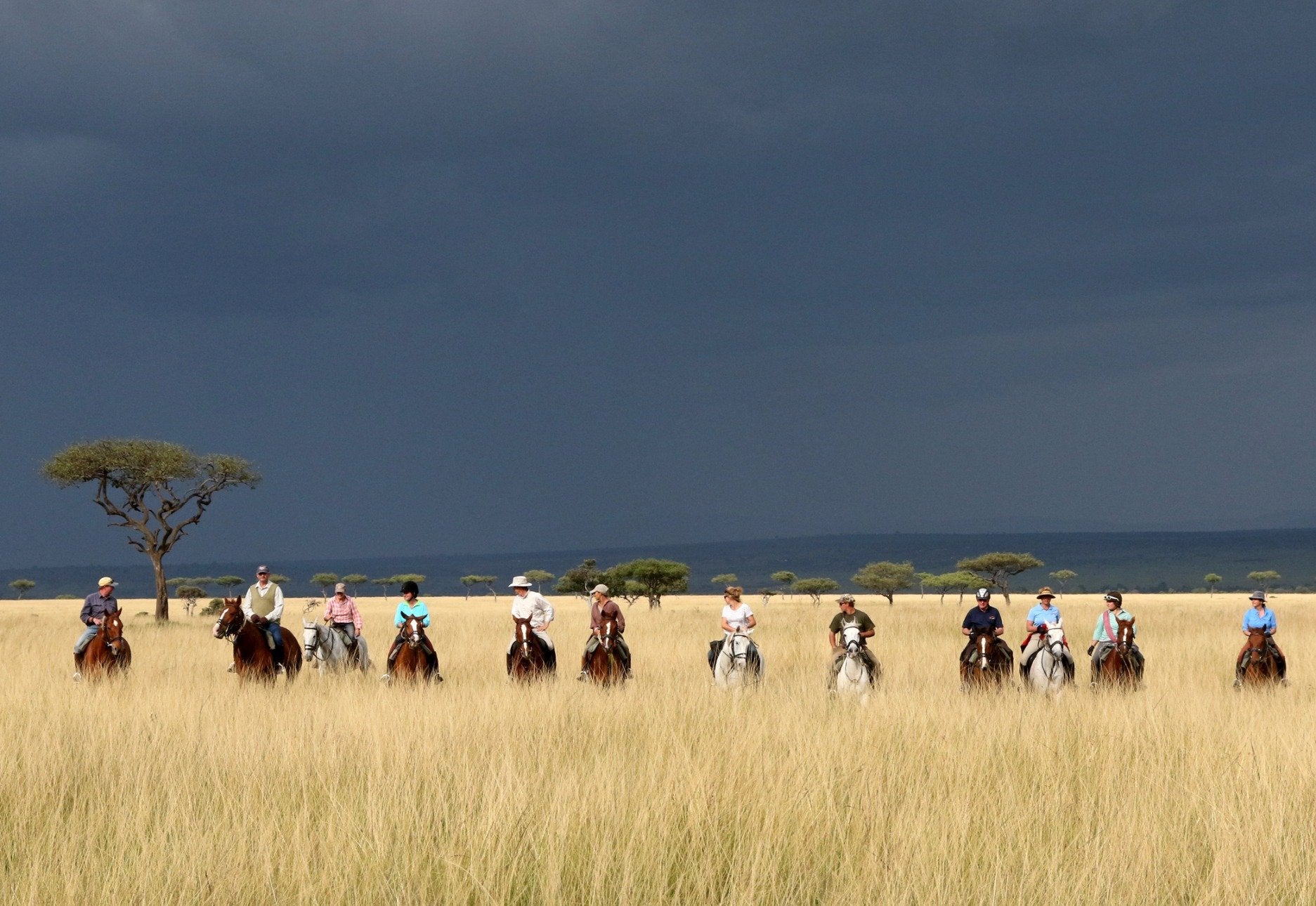 Africa's Big 5 Safari - horseXperiences™ GO EQUESTRIAN