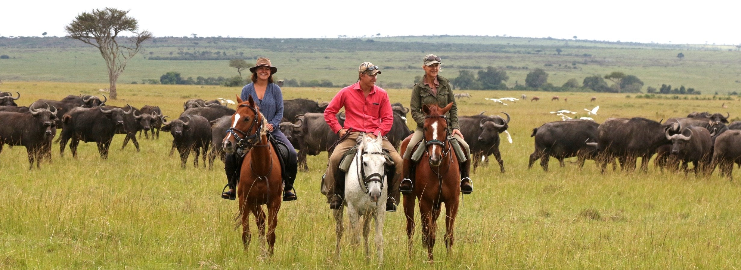 Africa's Big 5 Safari - horseXperiences™ GO EQUESTRIAN