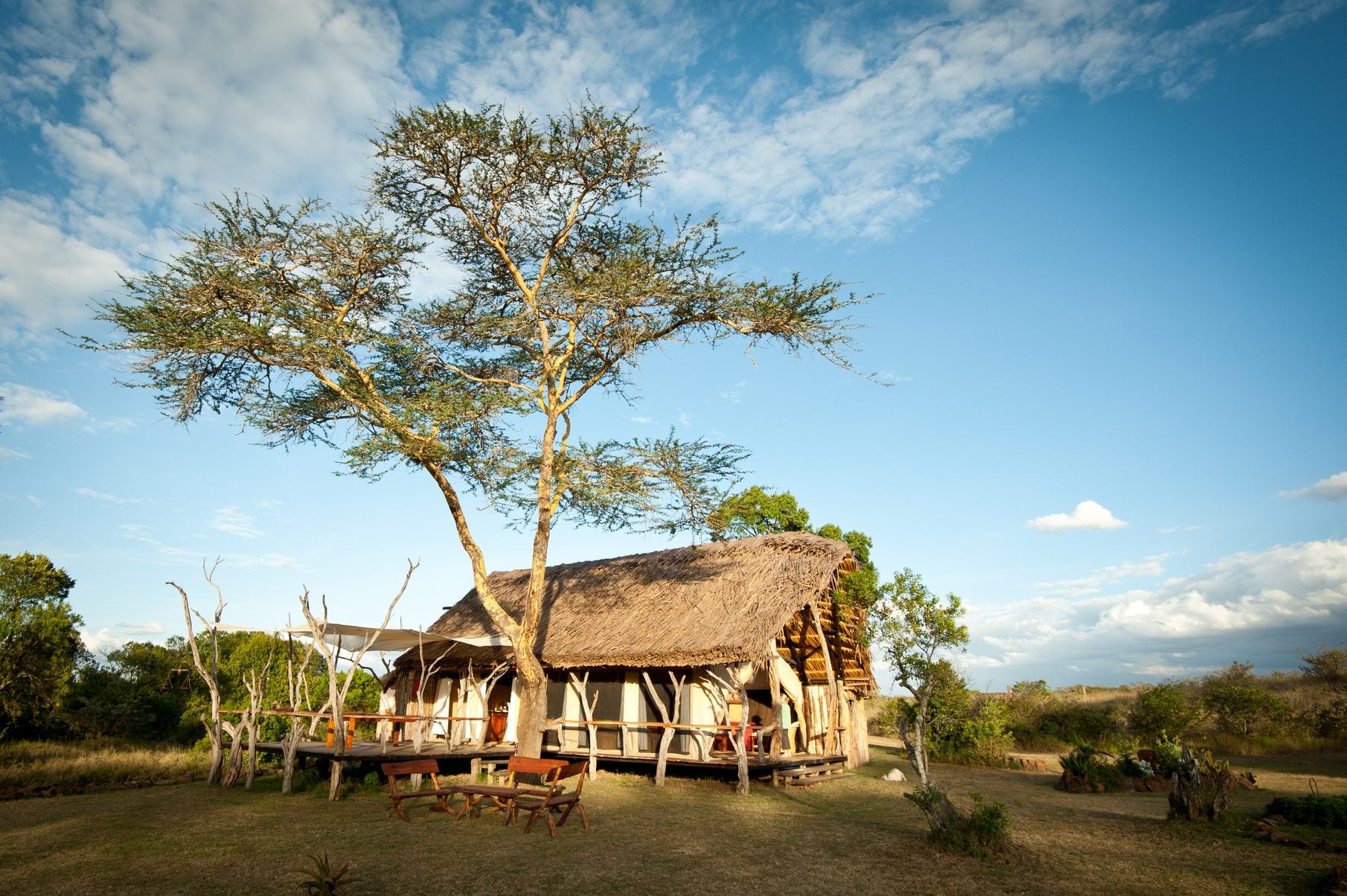 Africa's Big 5 Safari - horseXperiences™ GO EQUESTRIAN