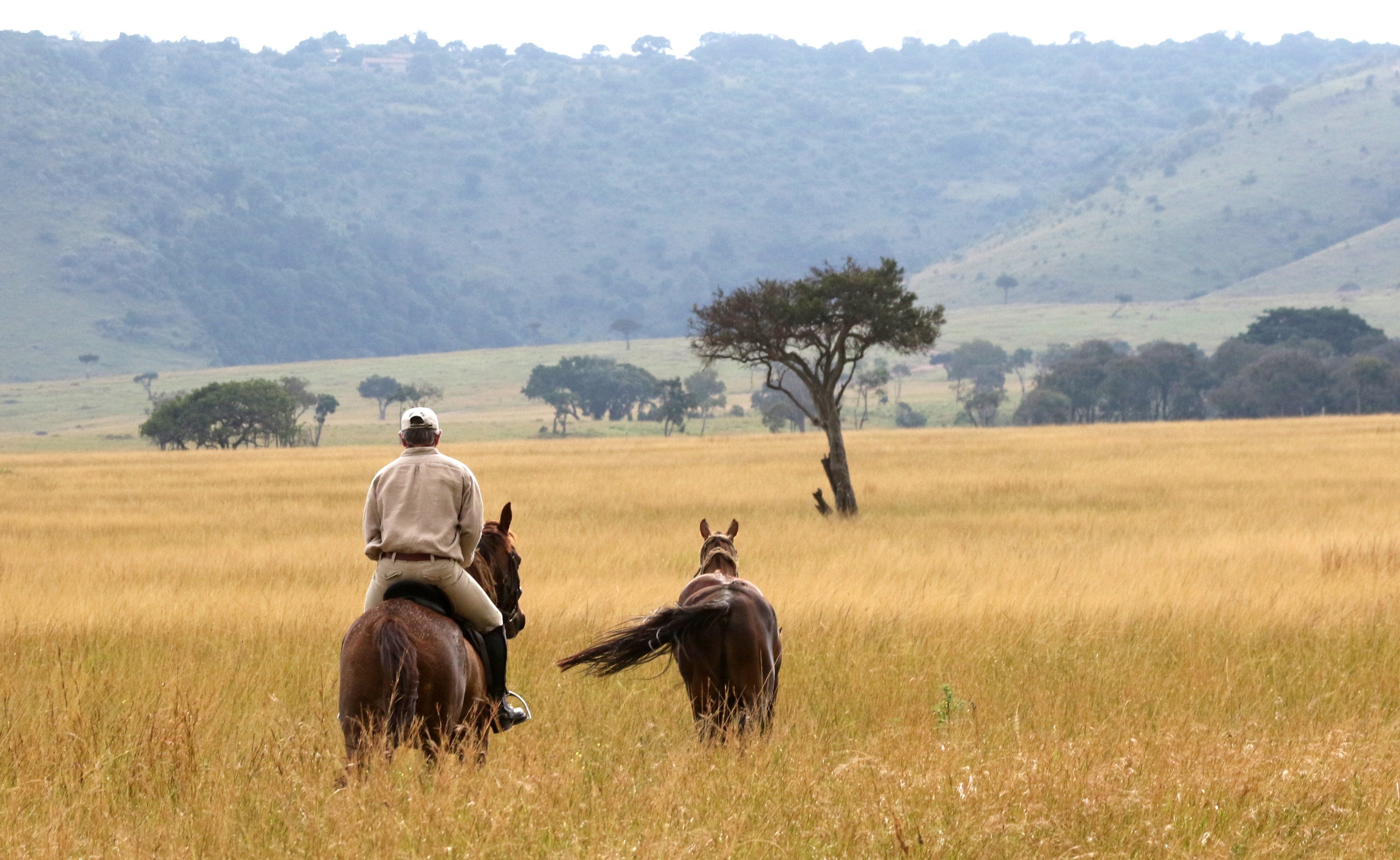 Africa's Big 5 Safari - horseXperiences™ GO EQUESTRIAN