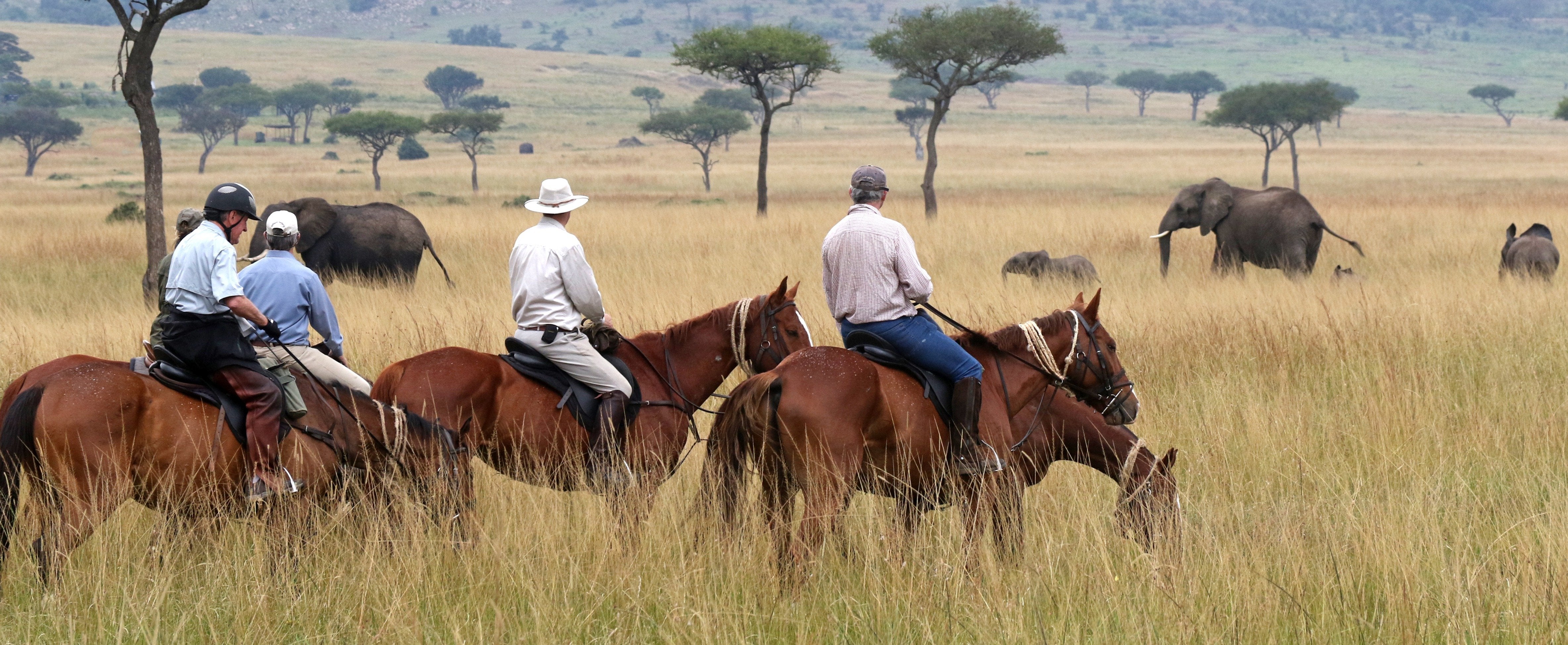 Africa's Big 5 Safari - horseXperiences™ GO EQUESTRIAN