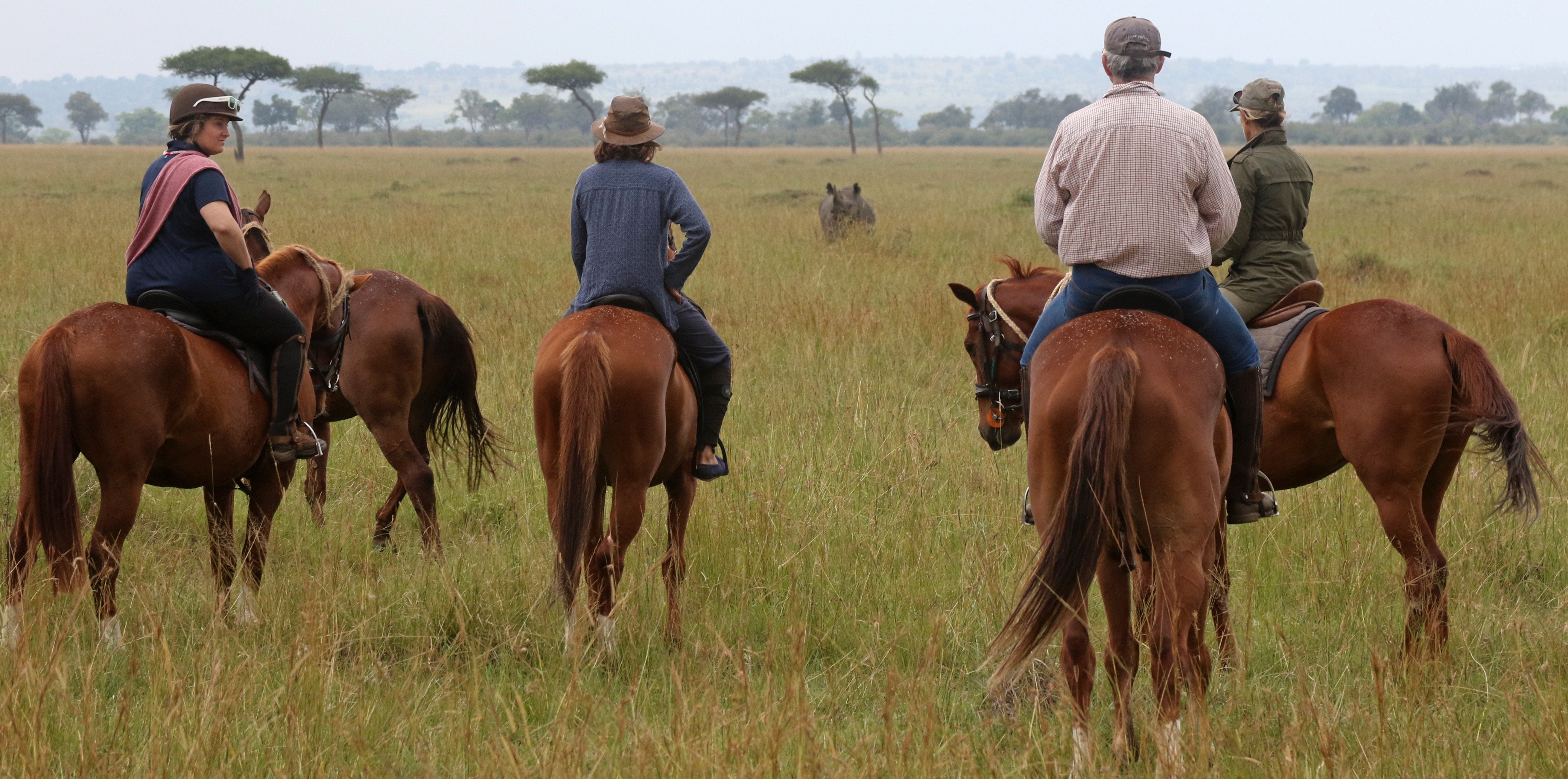 Africa's Big 5 Safari - horseXperiences™ GO EQUESTRIAN