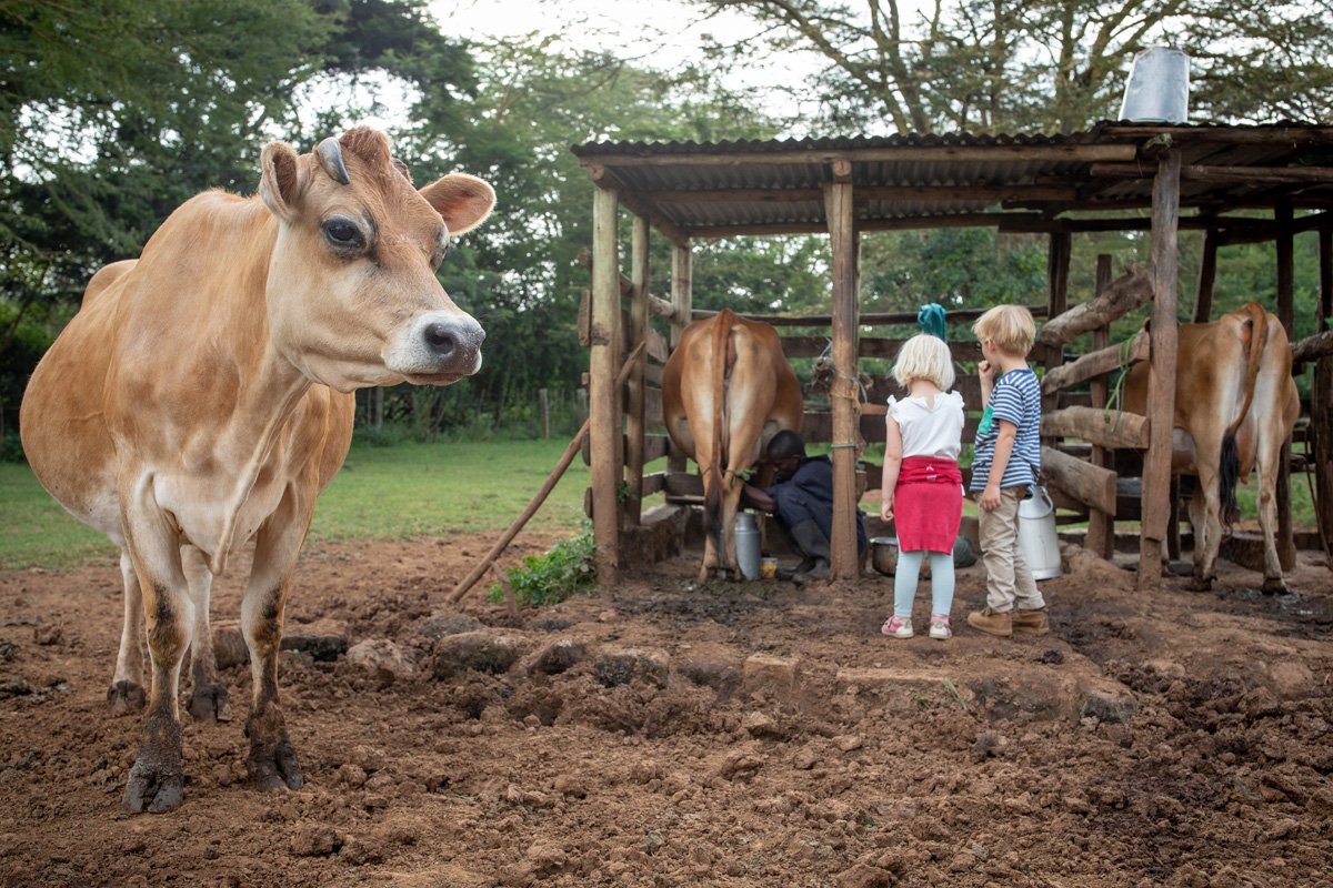 Africa's Big 5 Safari - horseXperiences™ GO EQUESTRIAN