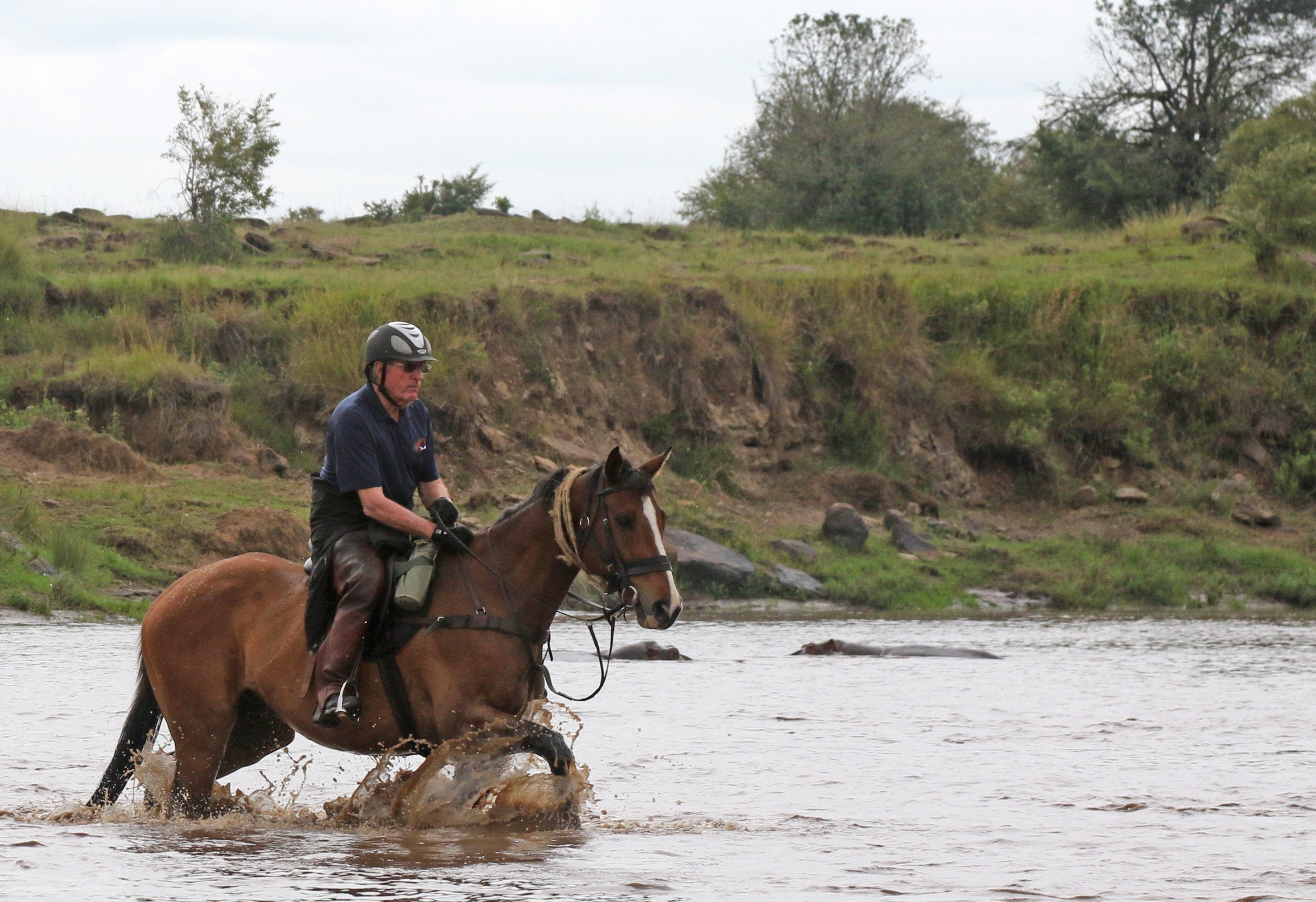 Africa's Big 5 Safari - horseXperiences™ GO EQUESTRIAN