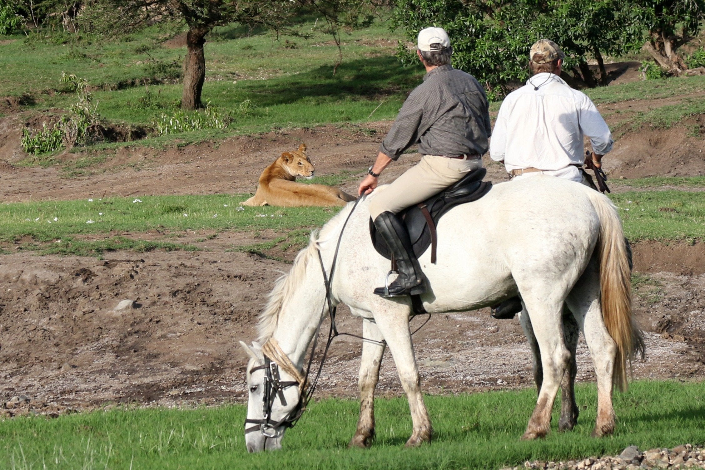 Africa's Big 5 Safari - horseXperiences™ GO EQUESTRIAN