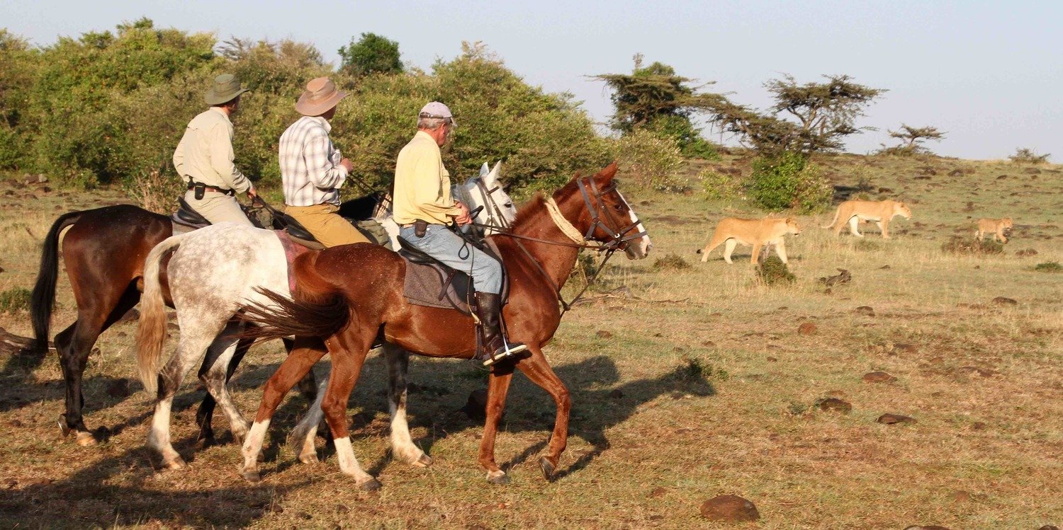 Africa's Big 5 Safari - horseXperiences™ GO EQUESTRIAN