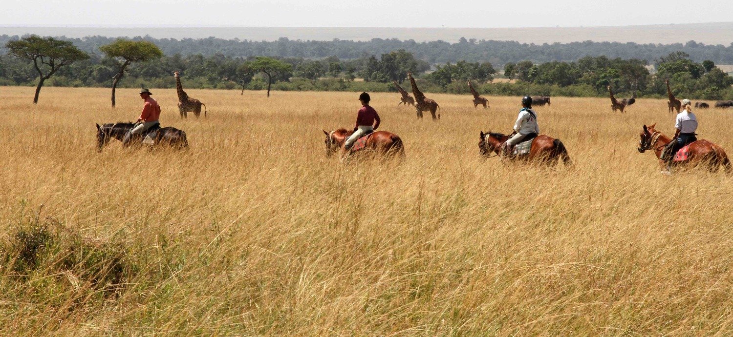 Africa's Big 5 Safari - horseXperiences™ GO EQUESTRIAN