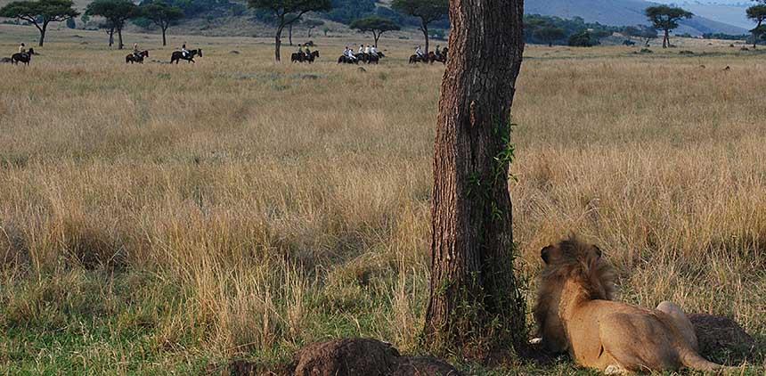 Africa's Big 5 Safari - horseXperiences™ GO EQUESTRIAN