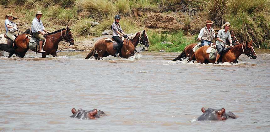 Africa's Big 5 Safari - horseXperiences™ GO EQUESTRIAN