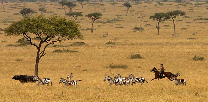 Africa's Big 5 Safari - horseXperiences™ GO EQUESTRIAN