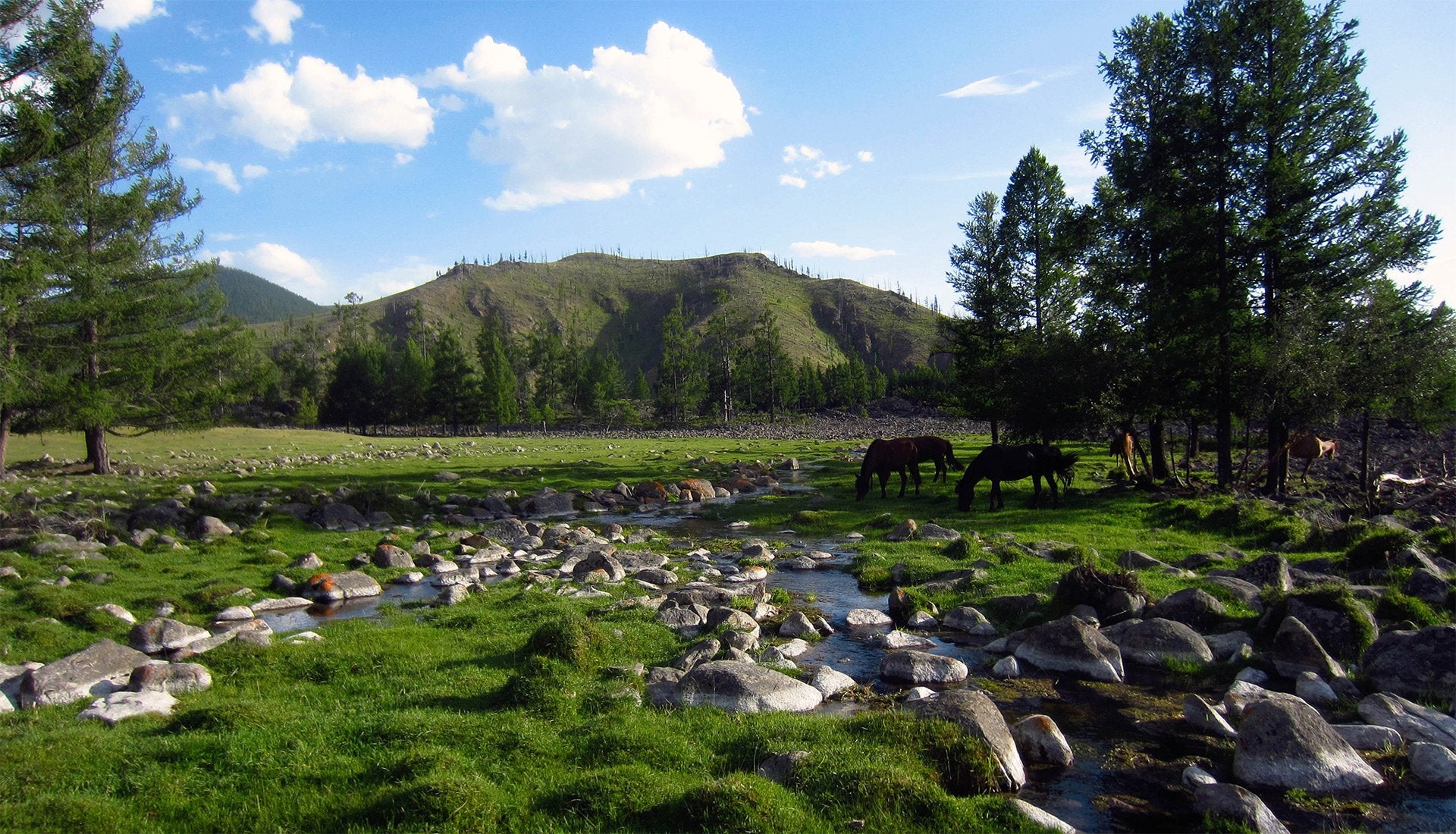 Big Skies Trail - horseXperiences™ GO EQUESTRIAN