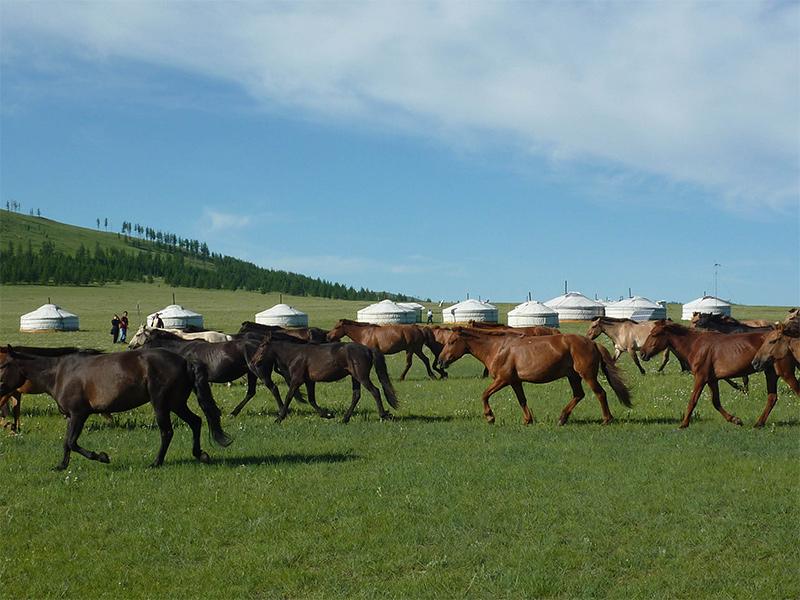 Big Skies Trail - horseXperiences™ GO EQUESTRIAN