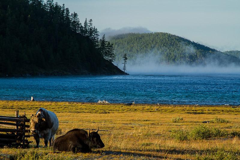 Khuvsgul Lake Ride - horseXperiences™ GO EQUESTRIAN