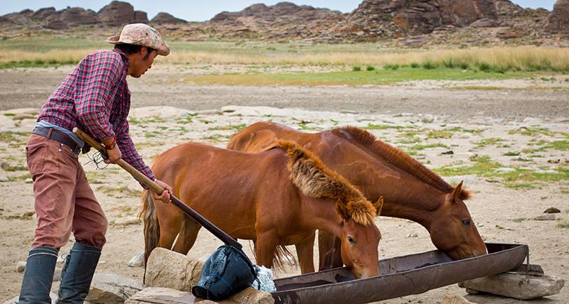 East Gobi Ride - horseXperiences™ GO EQUESTRIAN