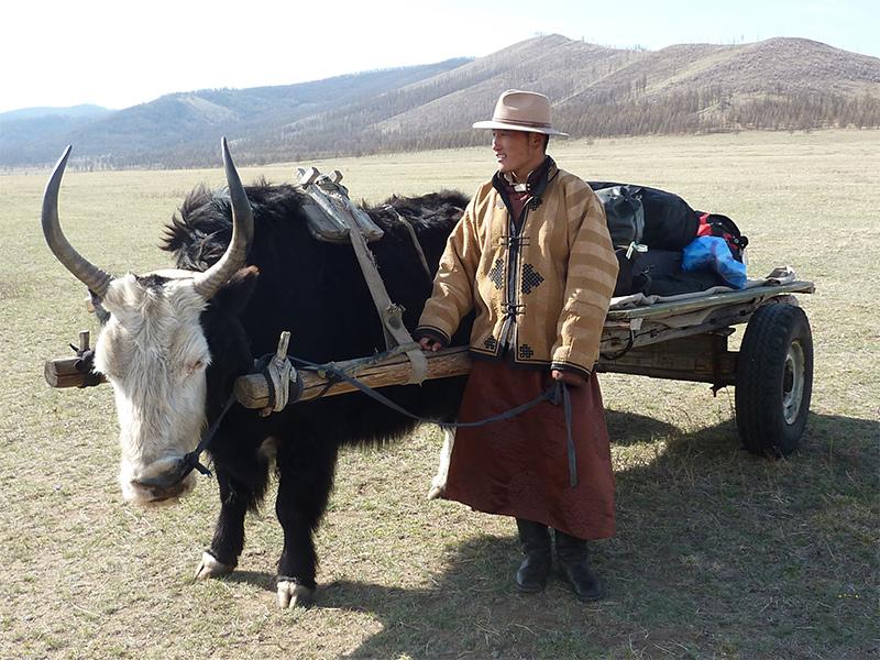 Mongol Horse Trails - horseXperiences™ GO EQUESTRIAN