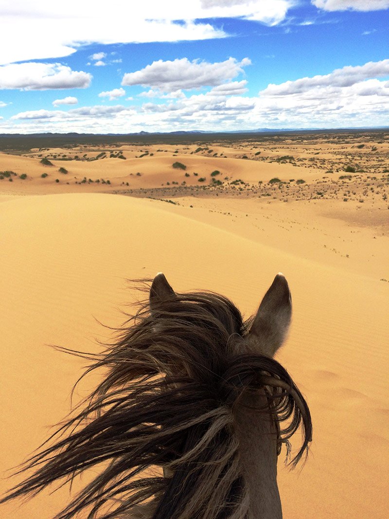 Steppe Nomads Ride - horseXperiences™ GO EQUESTRIAN