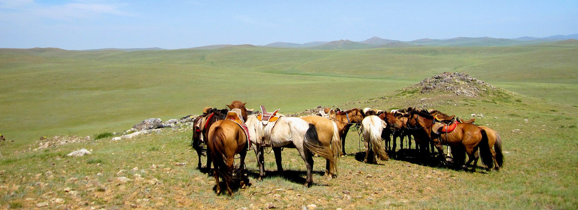 Steppe Nomads Ride - horseXperiences™ GO EQUESTRIAN