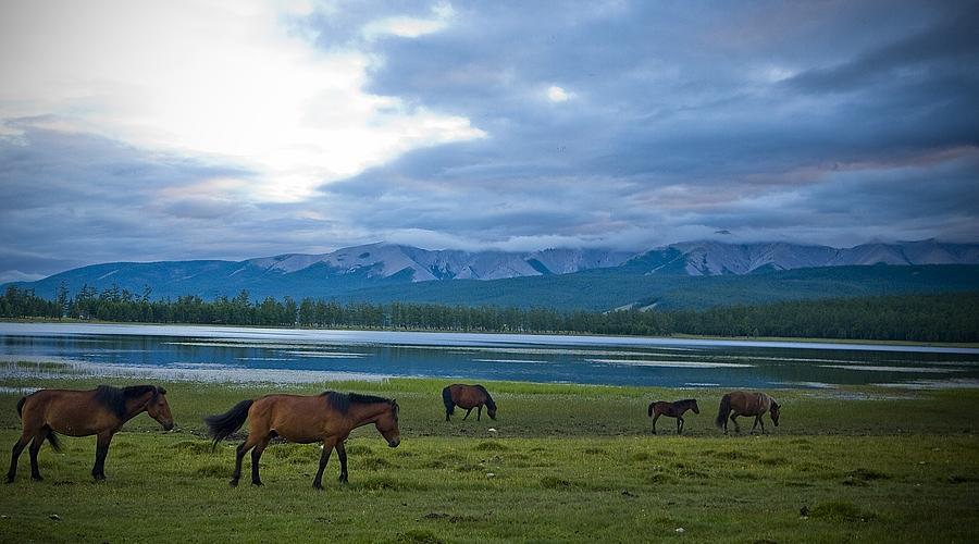 Khuvsgul Lake Ride - horseXperiences™ GO EQUESTRIAN