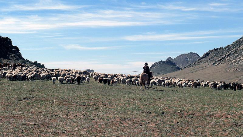 East Gobi Ride - horseXperiences™ GO EQUESTRIAN