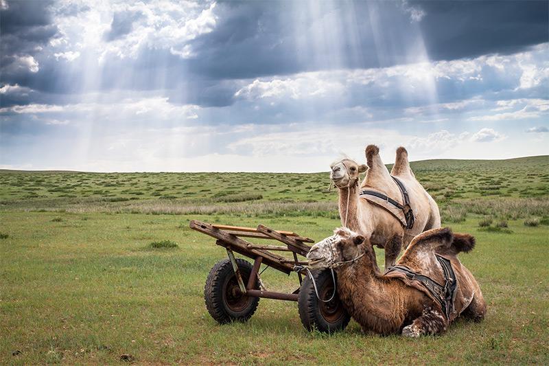 Steppe Nomads Ride - horseXperiences™ GO EQUESTRIAN
