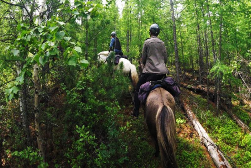 Khuvsgul Lake Ride - horseXperiences™ GO EQUESTRIAN